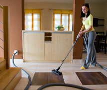 AMETEK Lamb Motors已经为中央真空工业服务了60多年;具有坚固耐用的真空，由行业中大多数的花瓶所需。